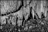 Driftwood & Stones, Vashon Island