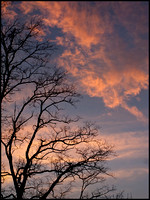 November Evening Sky 11/28/2011